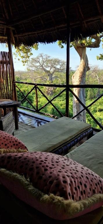 La terrasse privative, ouverte sur les baobabs